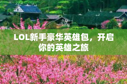 LOL新手豪华英雄包图片