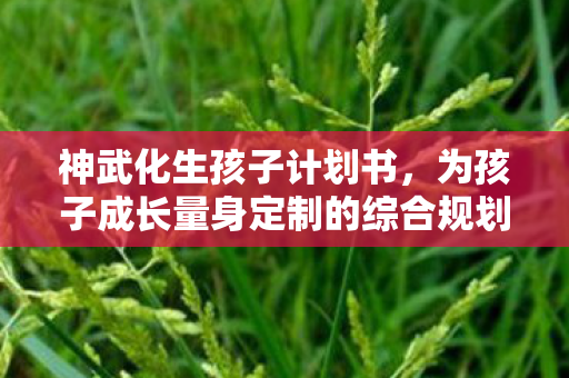 为孩子成长量身定制的综合规划图片