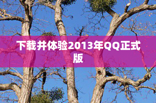 下载并体验2013年QQ正式版图片