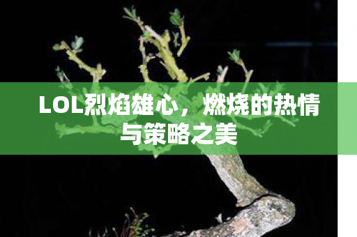 燃烧的热情与策略之美图片
