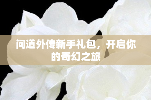 问道外传新手礼包图片