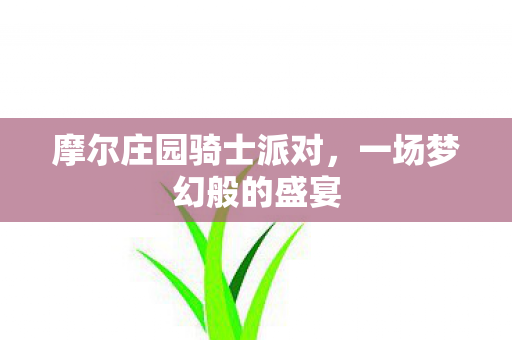 摩尔庄园骑士派对图片