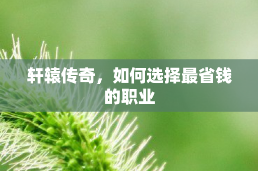 如何选择最省钱的职业图片