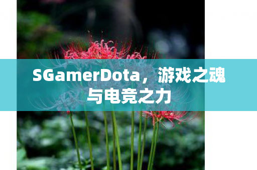 SGamerDota图片