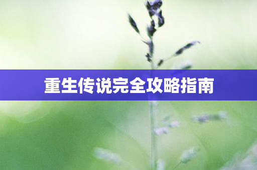 重生传说完全攻略指南图片
