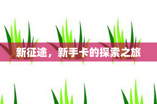 新手卡的探索之旅图片