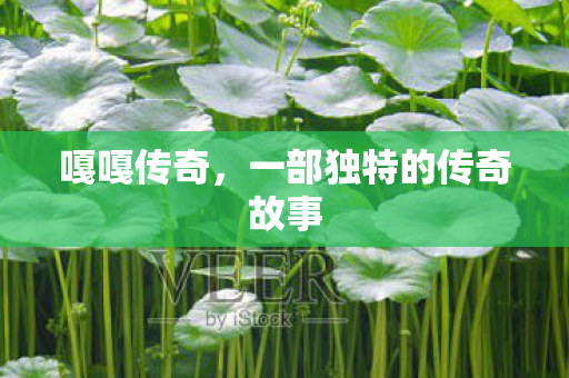 一部独特的传奇故事图片