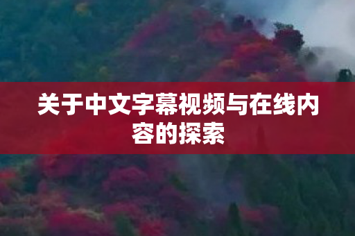 关于中文字幕视频与在线内容的探索图片
