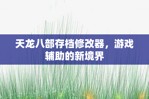 天龙八部存档修改器图片