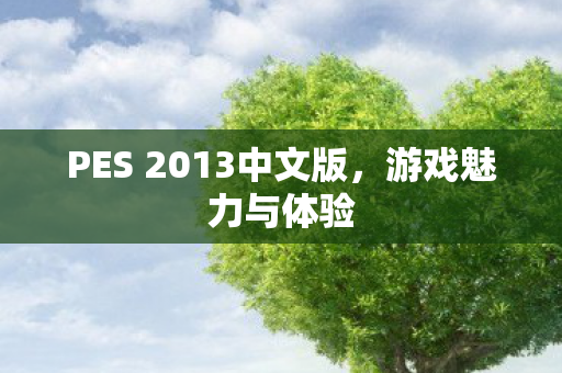 PES 2013中文版图片