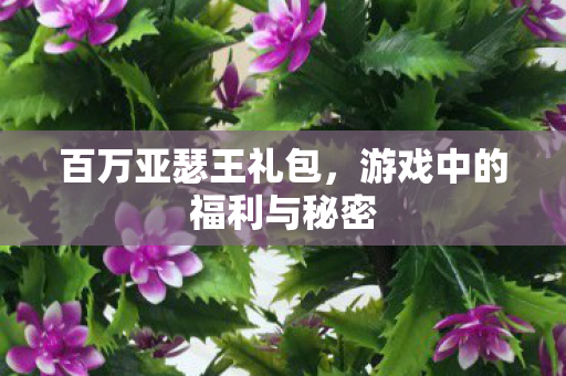 游戏中的福利与秘密图片
