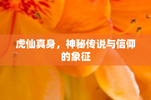 神秘传说与信仰的象征图片