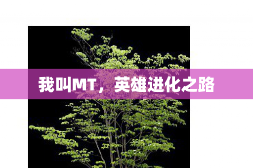 英雄进化之路图片