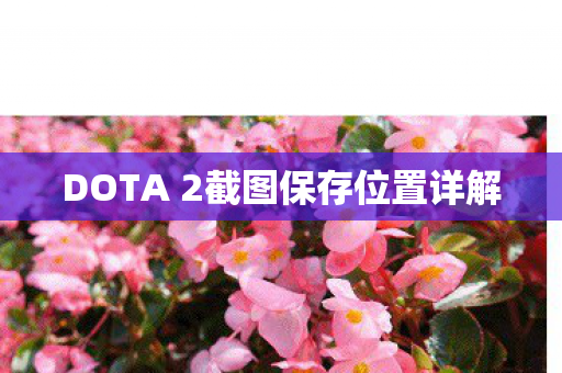 DOTA 2截图保存位置详解图片