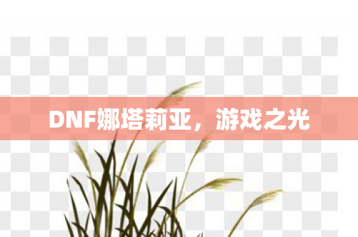 DNF娜塔莉亚图片