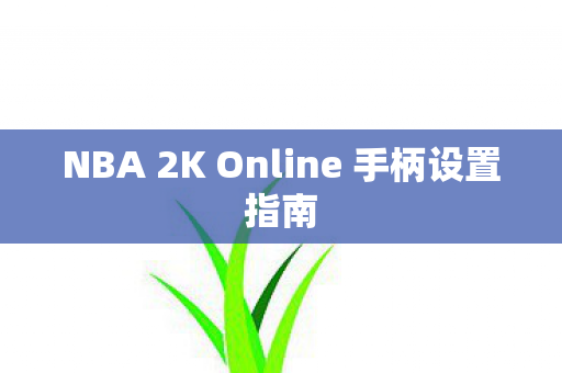 NBA 2K Online 手柄设置指南图片