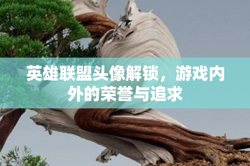 游戏内外的荣誉与追求图片