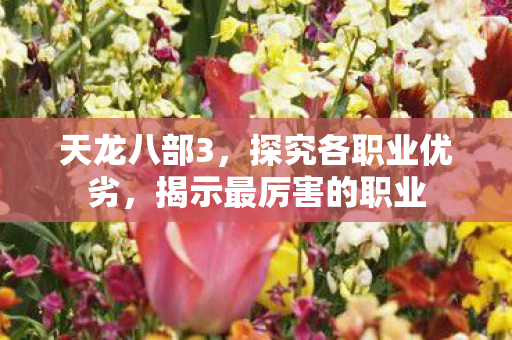 揭示最厉害的职业图片