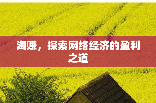 探索网络经济的盈利之道图片