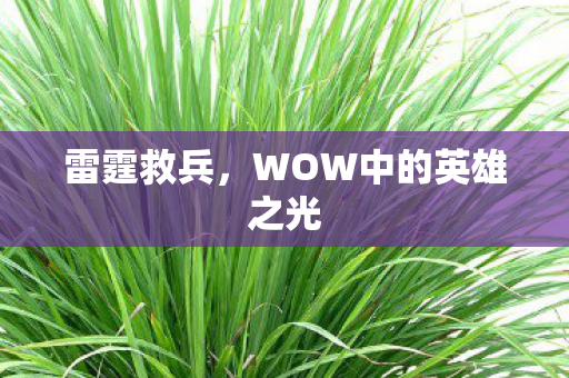 WOW中的英雄之光图片