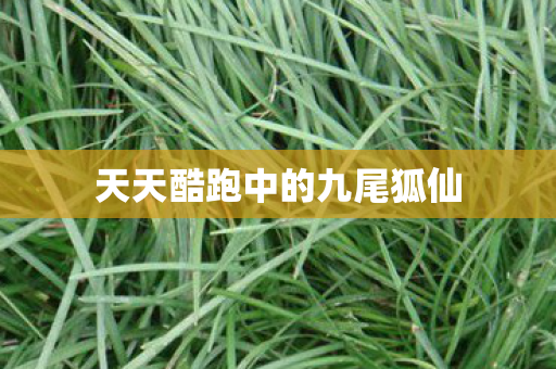 天天酷跑中的九尾狐仙图片