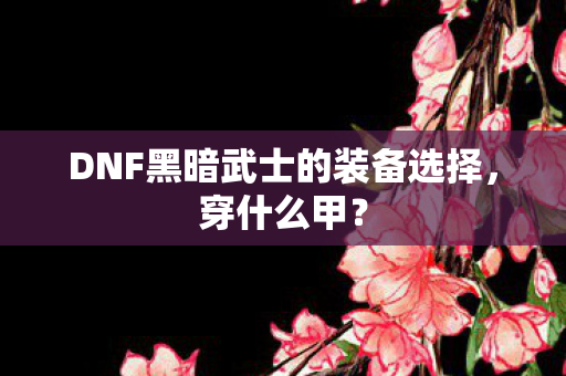 DNF黑暗武士的装备选择图片