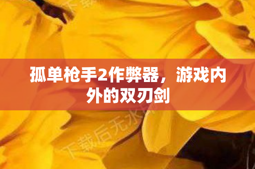 孤单枪手2作弊器图片