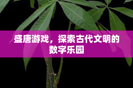 探索古代文明的数字乐园图片