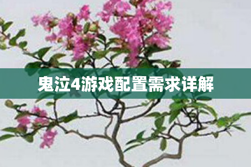 鬼泣4游戏配置需求详解图片