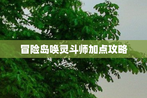 冒险岛唤灵斗师加点攻略图片