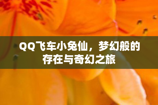 梦幻般的存在与奇幻之旅图片