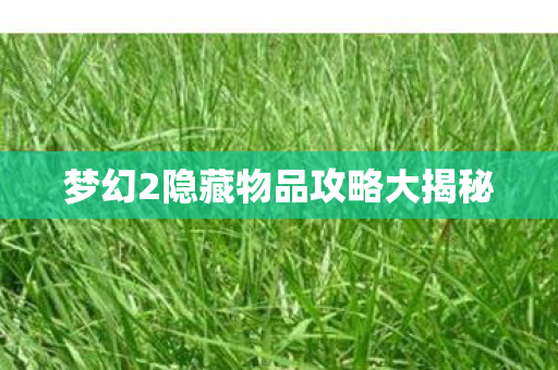 梦幻2隐藏物品攻略大揭秘图片