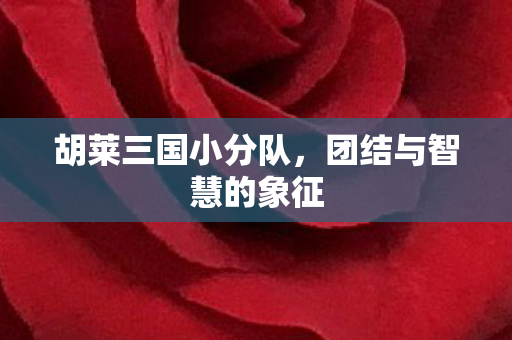 团结与智慧的象征图片