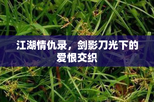 剑影刀光下的爱恨交织图片