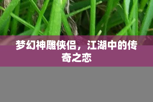 江湖中的传奇之恋图片