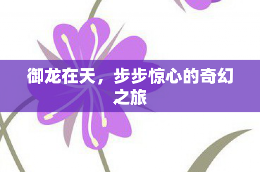 步步惊心的奇幻之旅图片