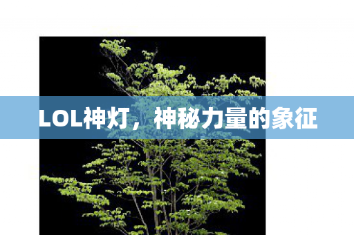 神秘力量的象征图片