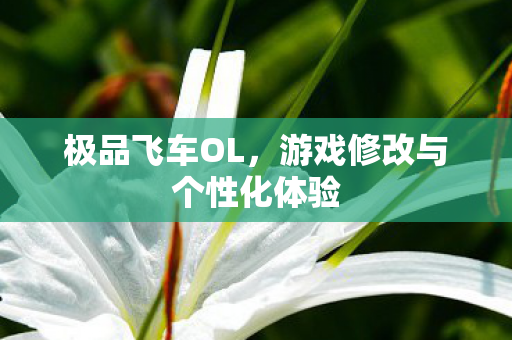 游戏修改与个性化体验图片