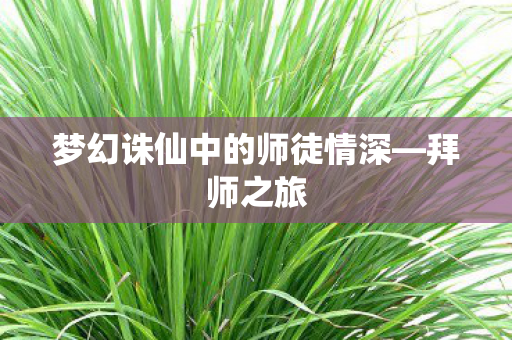 梦幻诛仙中的师徒情深图片
