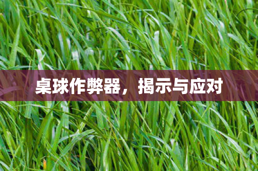 桌球作弊器图片