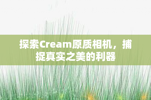 探索Cream原质相机图片