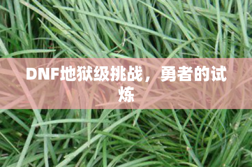 DNF地狱级挑战图片