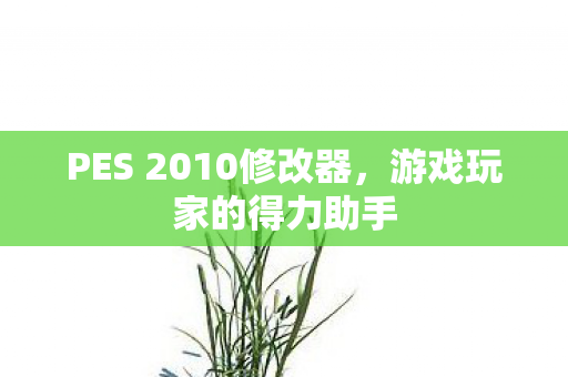 PES 2010修改器图片