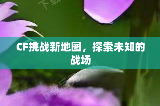 CF挑战新地图图片