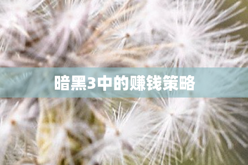 暗黑3中的赚钱策略图片