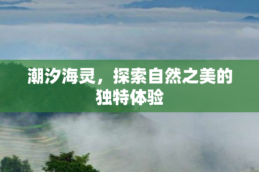 探索自然之美的独特体验图片
