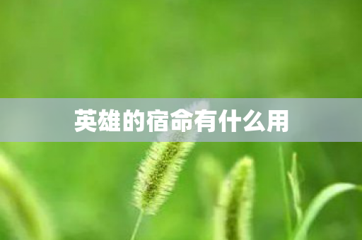 英雄的宿命有什么用图片