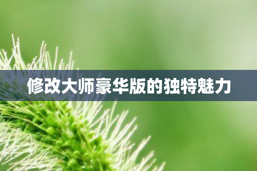 修改大师豪华版的独特魅力图片
