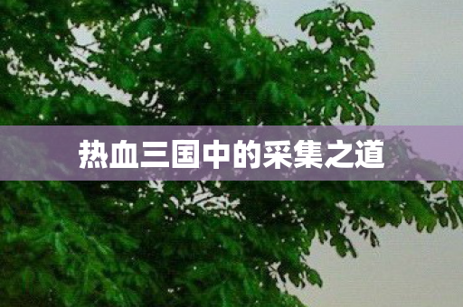 热血三国中的采集之道图片