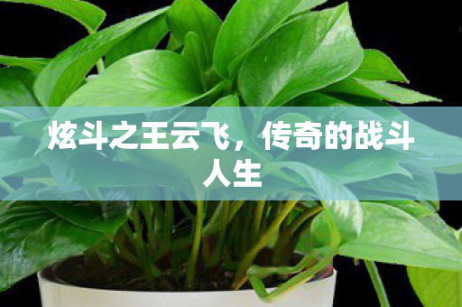 传奇的战斗人生图片